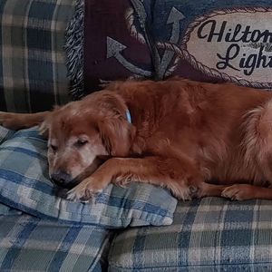 Meet your Posher, Maxine